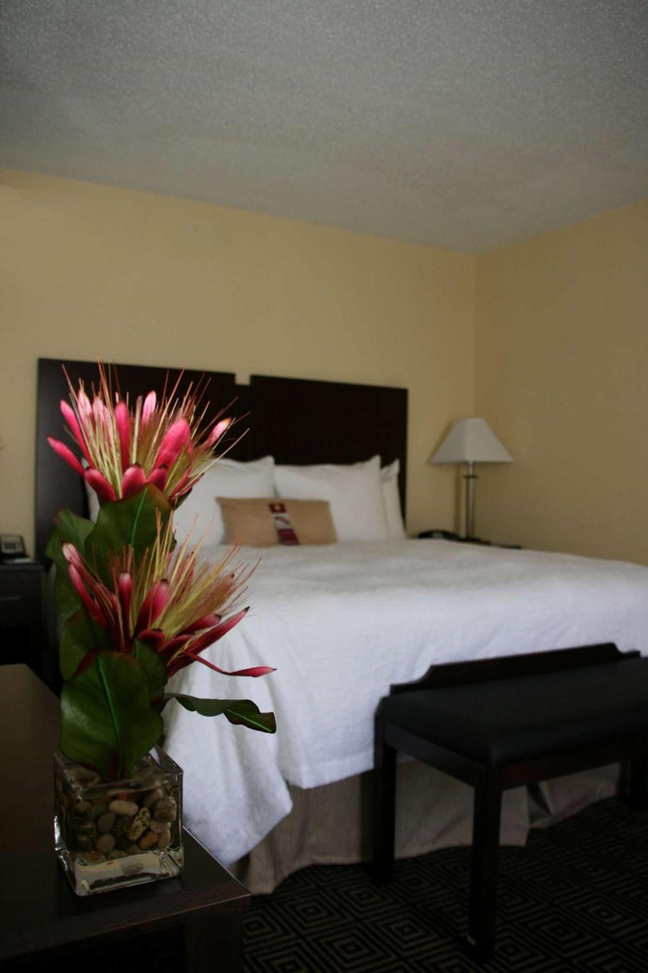 Hampton Inn & Suites Orlando-John Young Parkway/South Park Williamsburg Екстер'єр фото